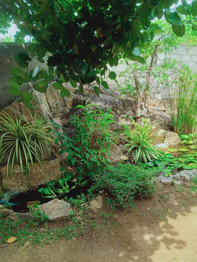 Sidhangana Home Stay Anuradhapura Bagian luar foto