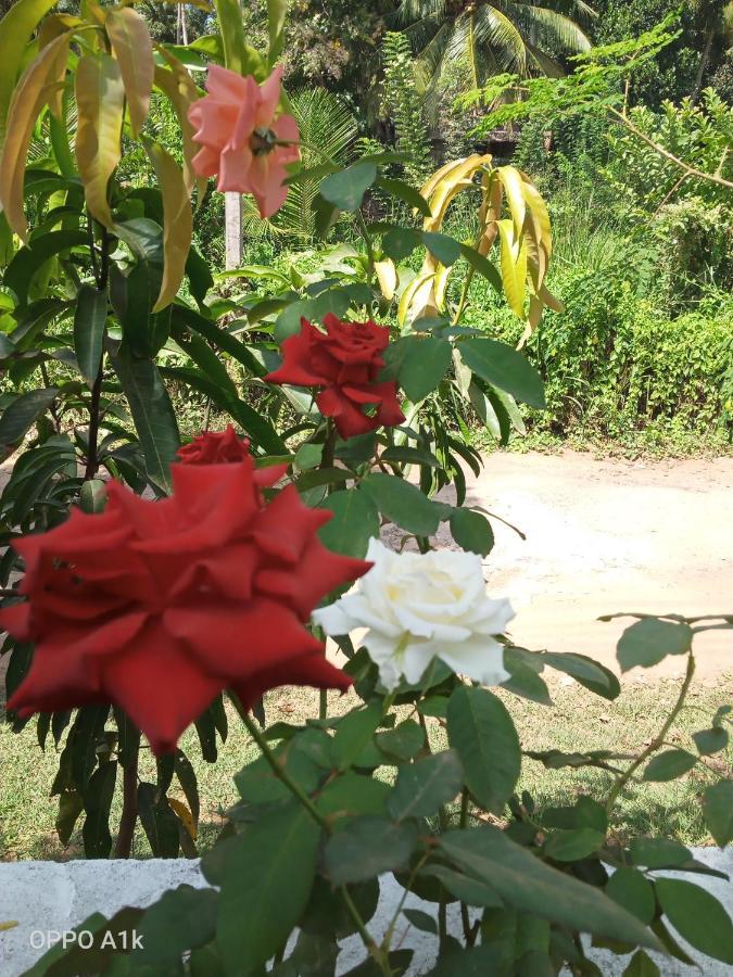 Sidhangana Home Stay Anuradhapura Bagian luar foto