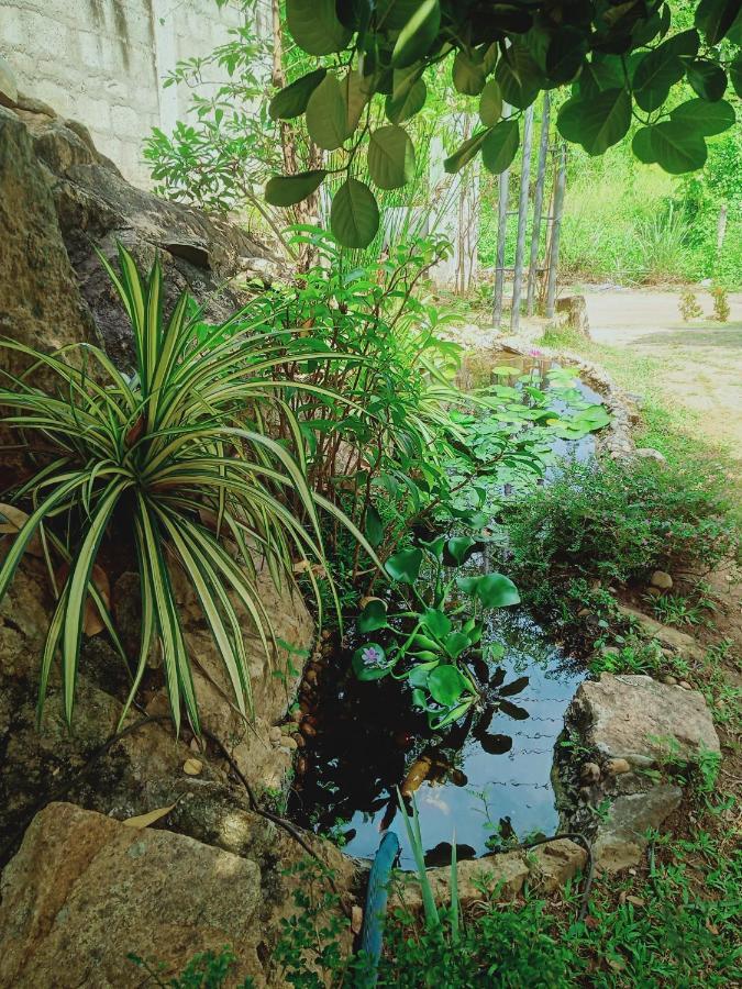Sidhangana Home Stay Anuradhapura Bagian luar foto