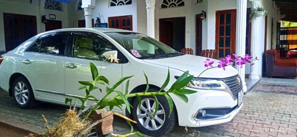 Sidhangana Home Stay Anuradhapura Bagian luar foto