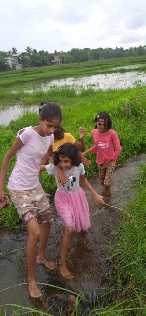 Sidhangana Home Stay Anuradhapura Bagian luar foto
