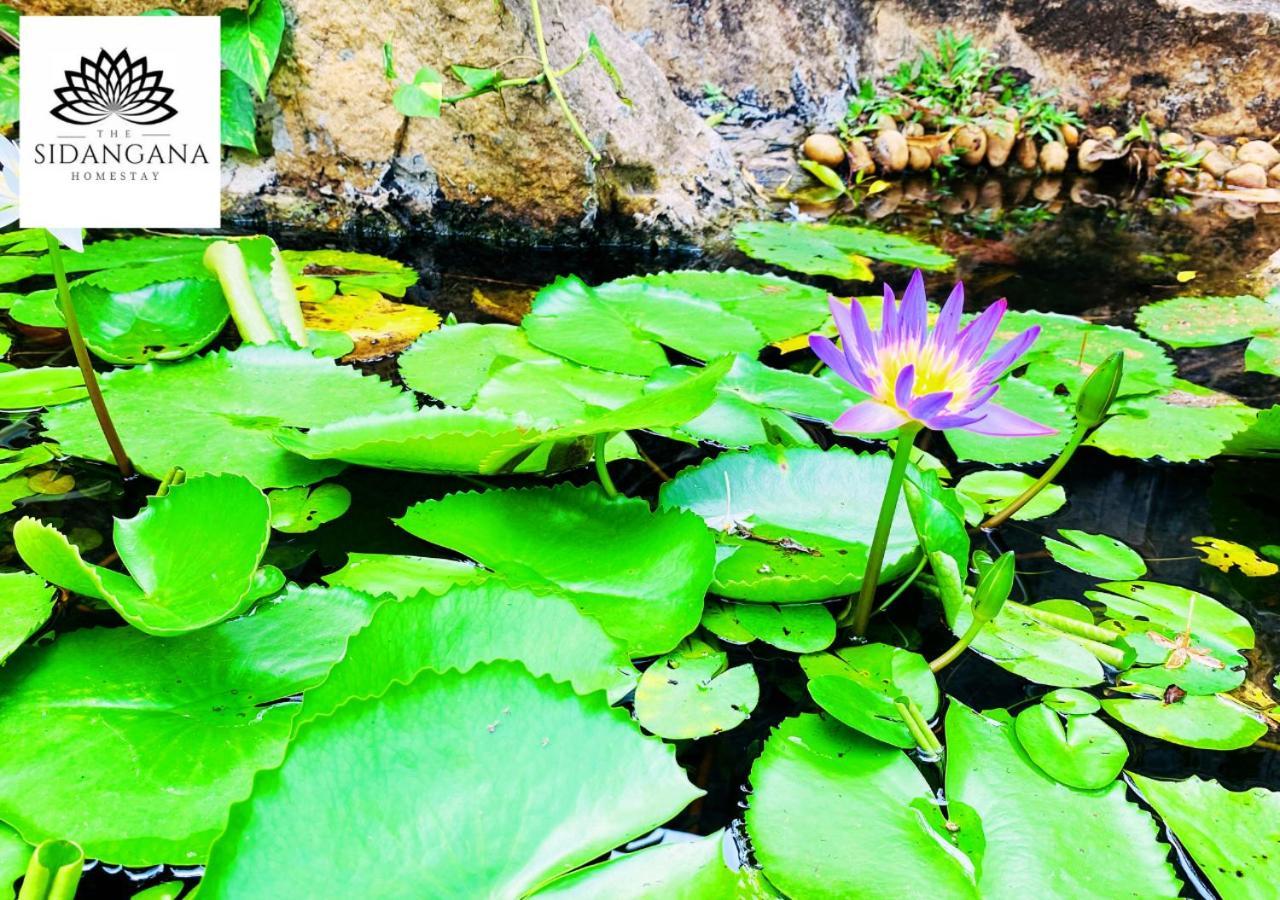 Sidhangana Home Stay Anuradhapura Bagian luar foto