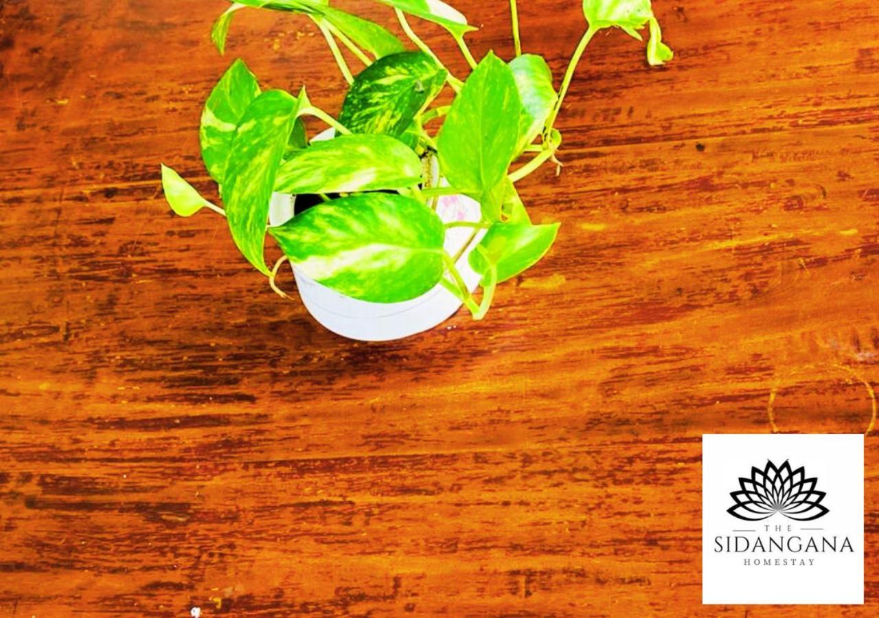 Sidhangana Home Stay Anuradhapura Bagian luar foto